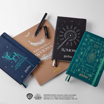 Edizione limitata Mondo Magico di Harry Potter Agenda settimanale 12 mesi , Large, Copertina rigida - Lifestyle