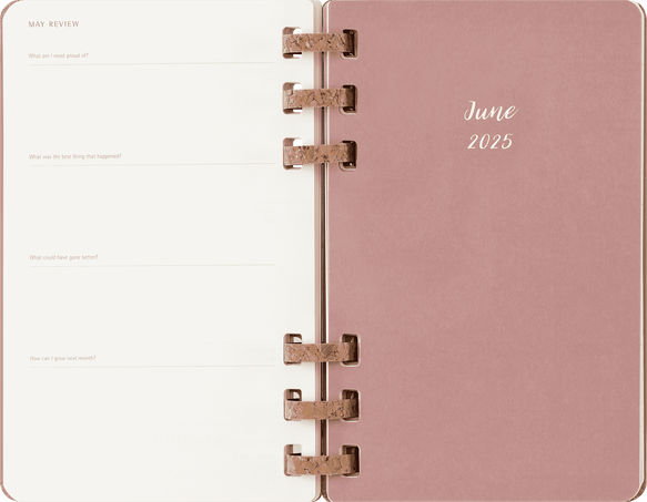 Life Planner 2025 L 12-Month, Spiral, Pink - Side view